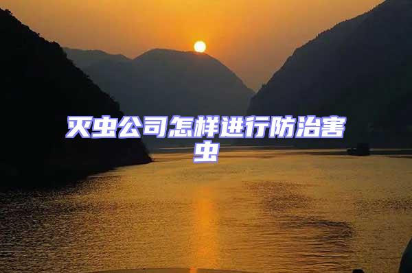 灭虫公司怎样进行防治害虫