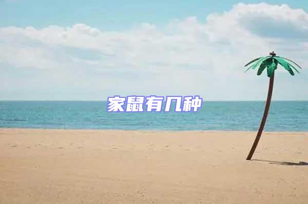 家鼠有几种