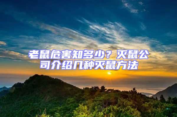 老鼠危害知多少？灭鼠公司介绍几种灭鼠方法