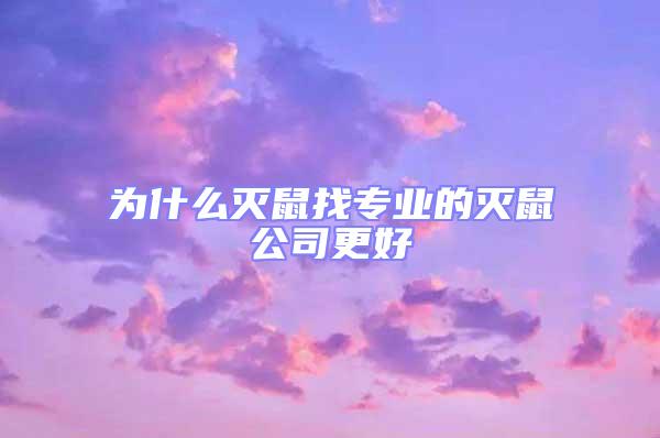 为什么灭鼠找专业的灭鼠公司更好