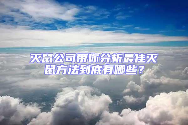 灭鼠公司带你分析最佳灭鼠方法到底有哪些？