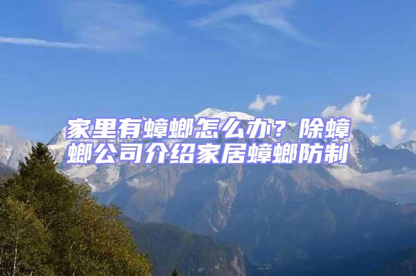 家里有蟑螂怎么办？除蟑螂公司介绍家居蟑螂防制