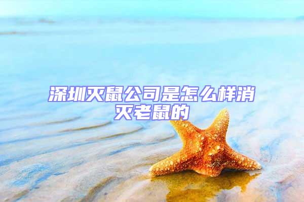 深圳灭鼠公司是怎么样消灭老鼠的