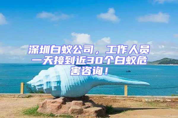 深圳白蚁公司，工作人员一天接到近30个白蚁危害咨询！