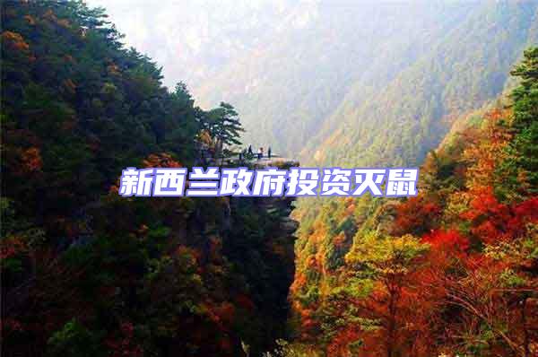 新西兰政府投资灭鼠