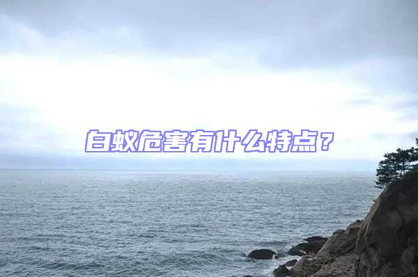 白蚁危害有什么特点？