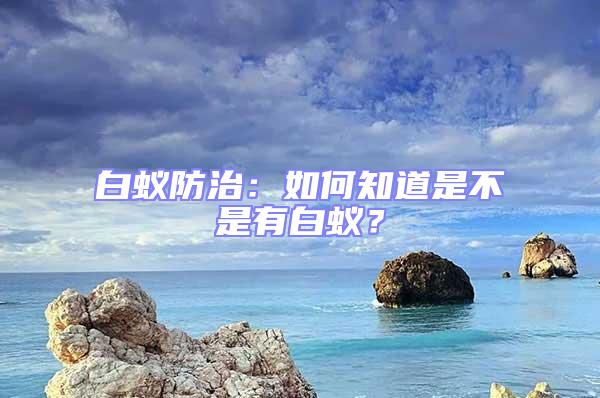 白蚁防治：如何知道是不是有白蚁？