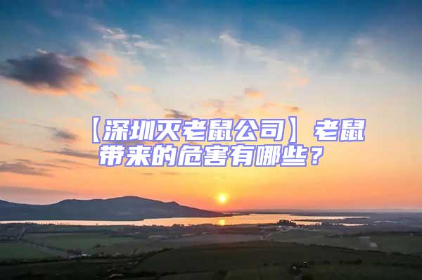 【深圳灭老鼠公司】老鼠带来的危害有哪些？