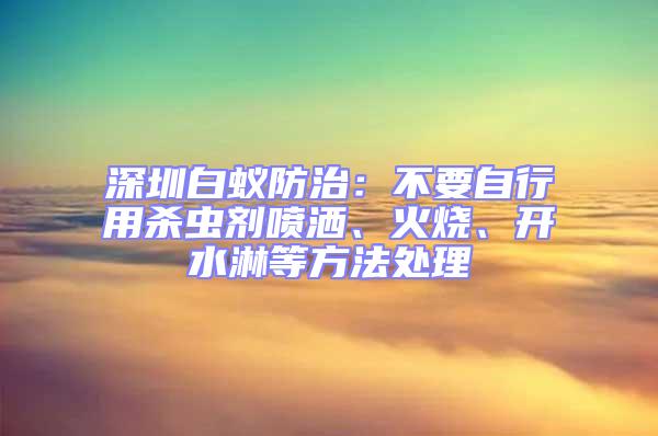 深圳白蚁防治：不要自行用杀虫剂喷洒、火烧、开水淋等方法处理