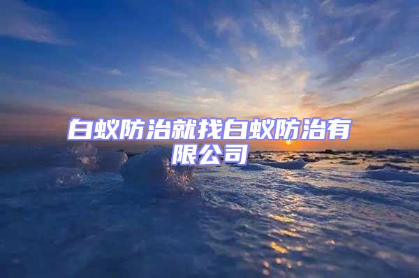 白蚁防治就找白蚁防治有限公司