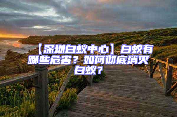 【深圳白蚁中心】白蚁有哪些危害？如何彻底消灭白蚁？