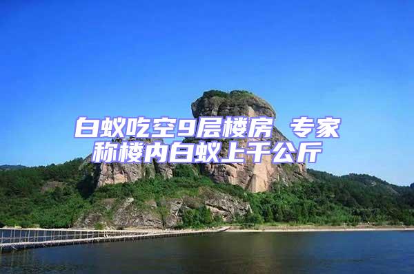白蚁吃空9层楼房 专家称楼内白蚁上千公斤