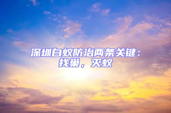 深圳白蚁防治两条关键：找巢，灭蚁