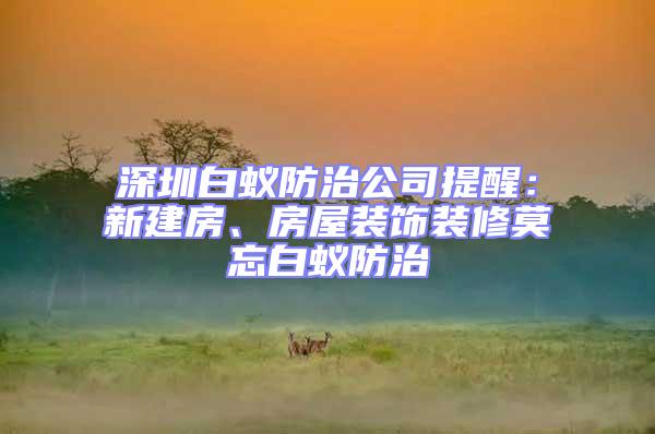 深圳白蚁防治公司提醒：新建房、房屋装饰装修莫忘白蚁防治