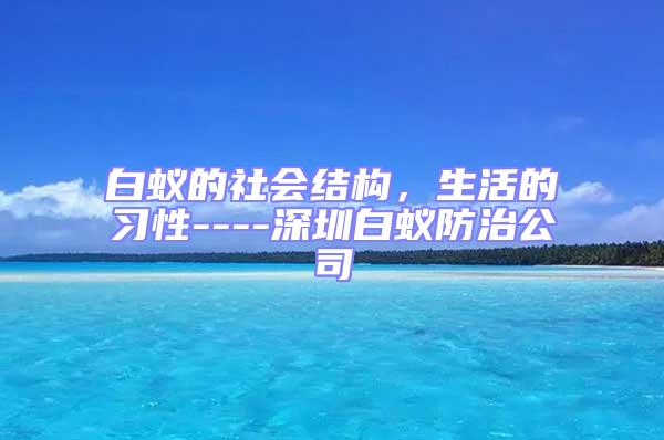 白蚁的社会结构，生活的习性----深圳白蚁防治公司