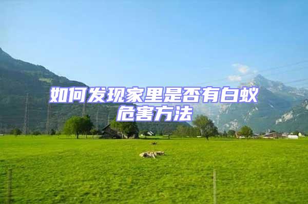 如何发现家里是否有白蚁危害方法
