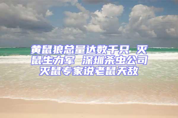 黄鼠狼总量达数千只 灭鼠生力军 深圳杀虫公司灭鼠专家说老鼠天敌