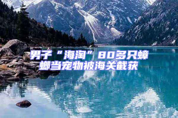 男子“海淘”80多只蟑螂当宠物被海关截获