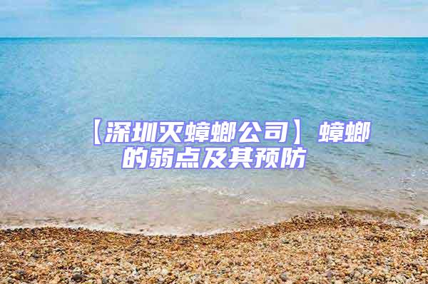 【深圳灭蟑螂公司】蟑螂的弱点及其预防