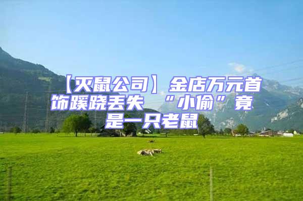 【灭鼠公司】金店万元首饰蹊跷丢失 “小偷”竟是一只老鼠