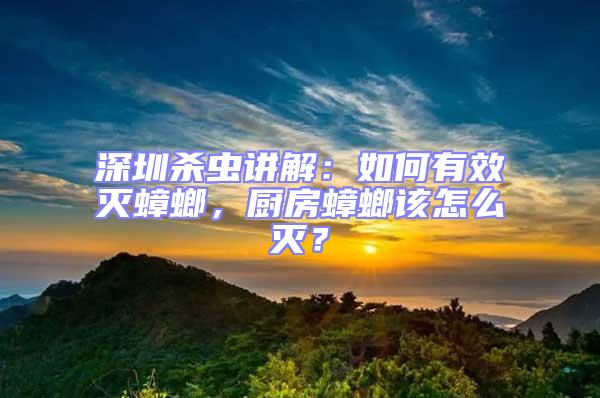 深圳杀虫讲解：如何有效灭蟑螂，厨房蟑螂该怎么灭？