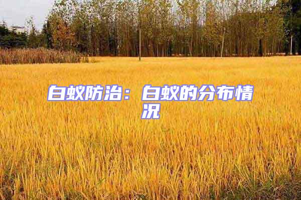 白蚁防治：白蚁的分布情况