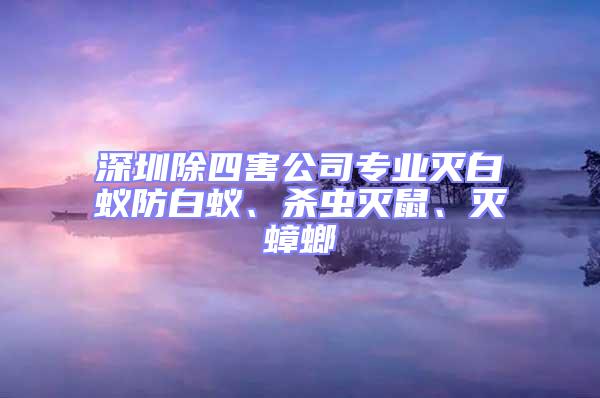 深圳除四害公司专业灭白蚁防白蚁、杀虫灭鼠、灭蟑螂