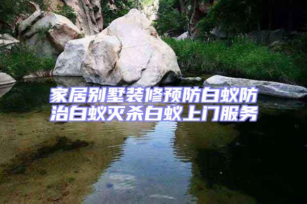 家居别墅装修预防白蚁防治白蚁灭杀白蚁上门服务