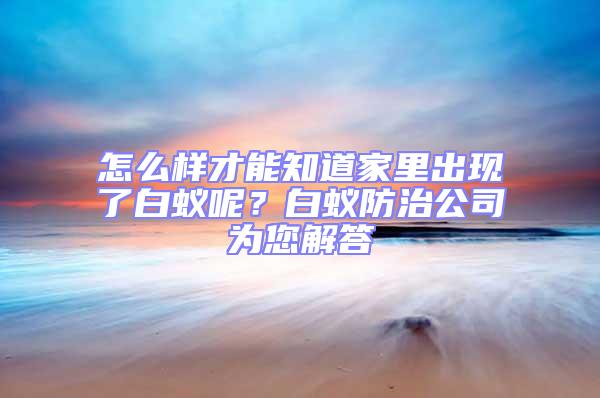 怎么样才能知道家里出现了白蚁呢？白蚁防治公司为您解答