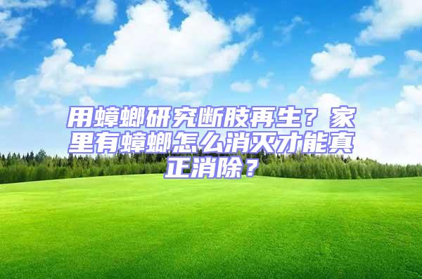 用蟑螂研究断肢再生？家里有蟑螂怎么消灭才能真正消除？