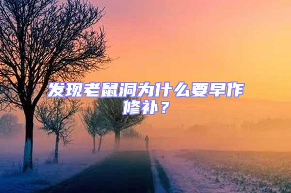 发现老鼠洞为什么要早作修补？