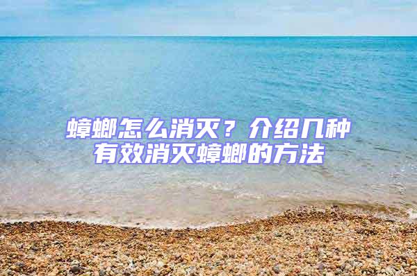 蟑螂怎么消灭？介绍几种有效消灭蟑螂的方法