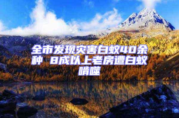 全市发现灾害白蚁40余种 8成以上老房遭白蚁啃噬