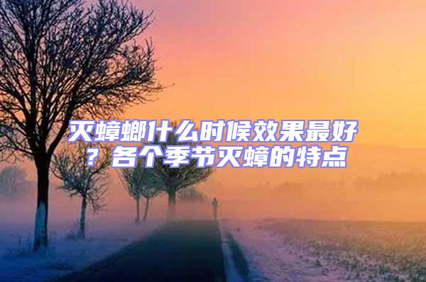 灭蟑螂什么时候效果最好？各个季节灭蟑的特点