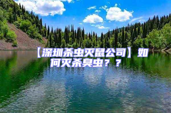 【深圳杀虫灭鼠公司】如何灭杀臭虫？？