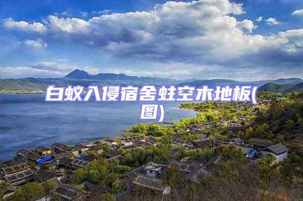 白蚁入侵宿舍蛀空木地板(图)