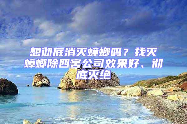 想彻底消灭蟑螂吗？找灭蟑螂除四害公司效果好、彻底灭绝