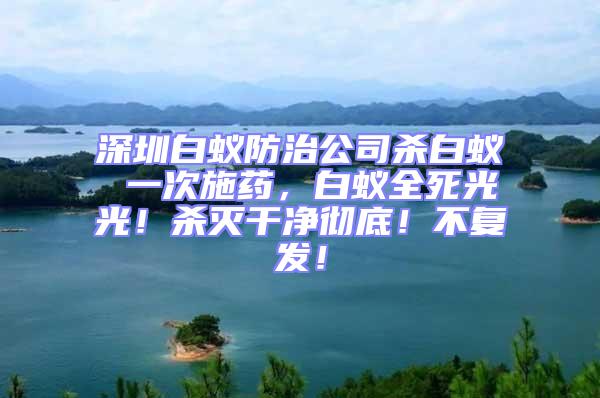 深圳白蚁防治公司杀白蚁 一次施药，白蚁全死光光！杀灭干净彻底！不复发！