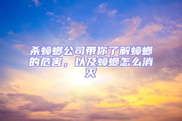 杀蟑螂公司带你了解蟑螂的危害，以及蟑螂怎么消灭