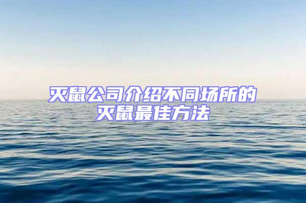 灭鼠公司介绍不同场所的灭鼠最佳方法