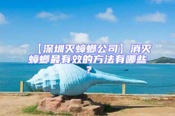 【深圳灭蟑螂公司】消灭蟑螂最有效的方法有哪些？