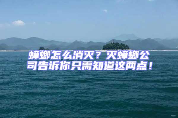 蟑螂怎么消灭？灭蟑螂公司告诉你只需知道这两点！