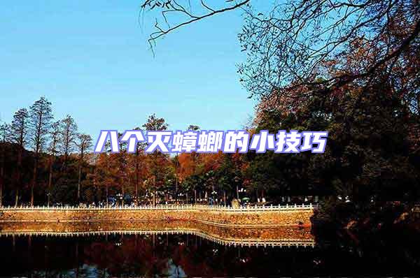 八个灭蟑螂的小技巧