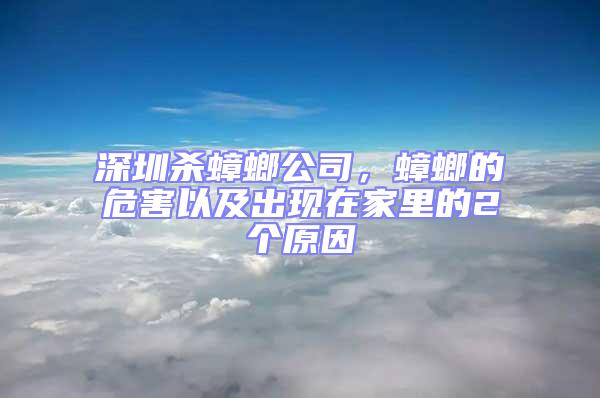 深圳杀蟑螂公司，蟑螂的危害以及出现在家里的2个原因