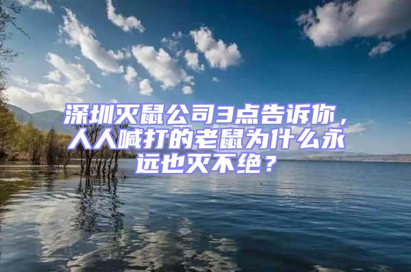 深圳灭鼠公司3点告诉你，人人喊打的老鼠为什么永远也灭不绝？