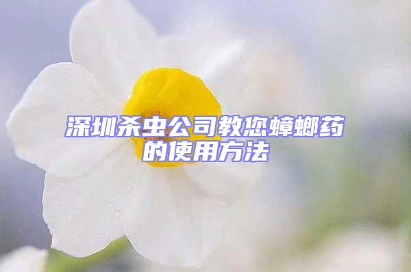 深圳杀虫公司教您蟑螂药的使用方法