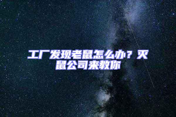 工厂发现老鼠怎么办？灭鼠公司来教你