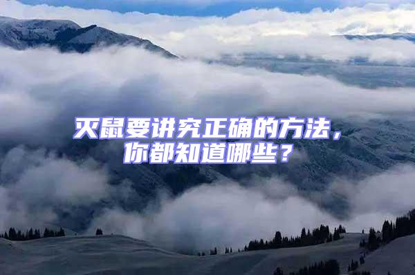 灭鼠要讲究正确的方法，你都知道哪些？