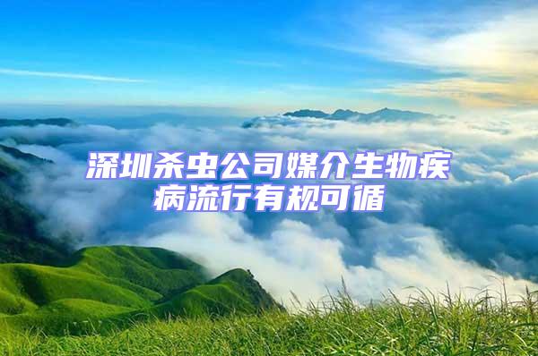 深圳杀虫公司媒介生物疾病流行有规可循