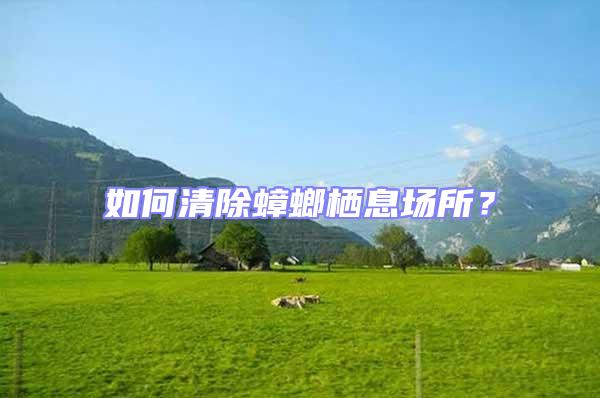 如何清除蟑螂栖息场所？